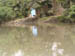 Am Fluss 2 - In der letzten Zeit ist dieser Fluss durch Unkrautbewuchs<br>  so berwuchert,
dass er nicht mehr als Wasserquelle fungieren kann.