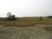 Steppenlandschaft bei Ada