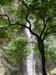 Wasserfall des Wli